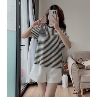 Áo cộc tay kẻ chất xốp kiểu dáng basic
