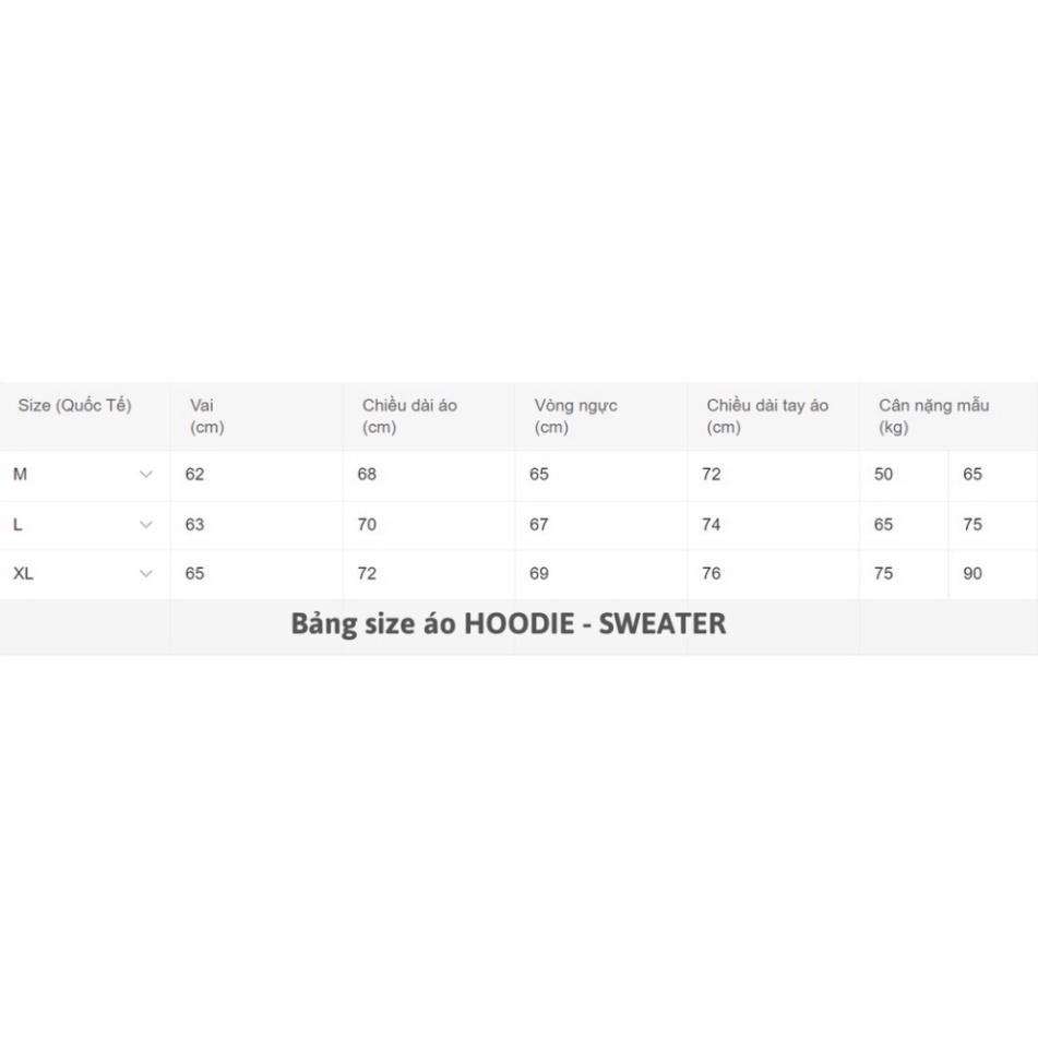 [CAO CẤP] [SIÊU SALE] Áo Hoodie Stussy Big Logo - chất nỉ bông Hàn, dáng rộng, nam nữ đều mặc được (Unisex) | BigBuy360 - bigbuy360.vn