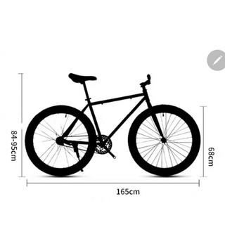 Xe Đạp Thể Thao Fixed Gear