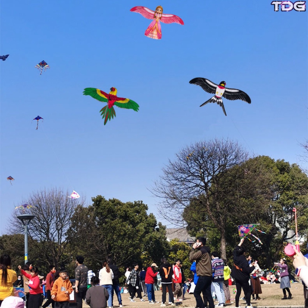 Đồ Chơi Diều Cần Câu 3D Mini TDG Cho Bé Họa Tiết Hoạt Hình Dễ Thương Kèm Cần Câu Và Dây Thả 30M