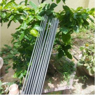 Lóng Cần Câu Đài 5H,6H