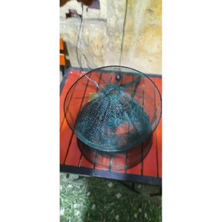 Giỏ đựng cá màu xanh giá rẻ