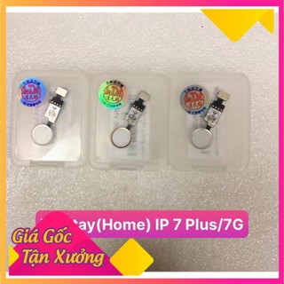 (giá thợ) Vân tay ( Home) IP 7 Plus/7G