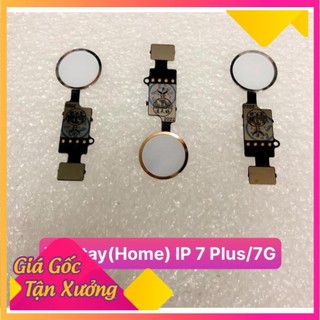 Vân tay ip 7 plus/7g