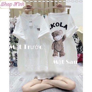 Áo phông kola, áo phông teddy, áo phông hình gấu kola
