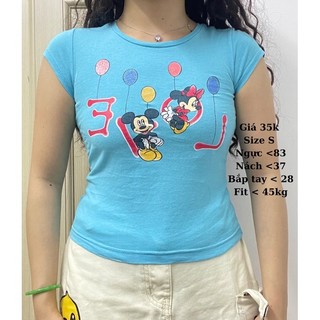 Baby tee đồng giá 35k, áo 2hand, đồ si, bbtee, babi tee
