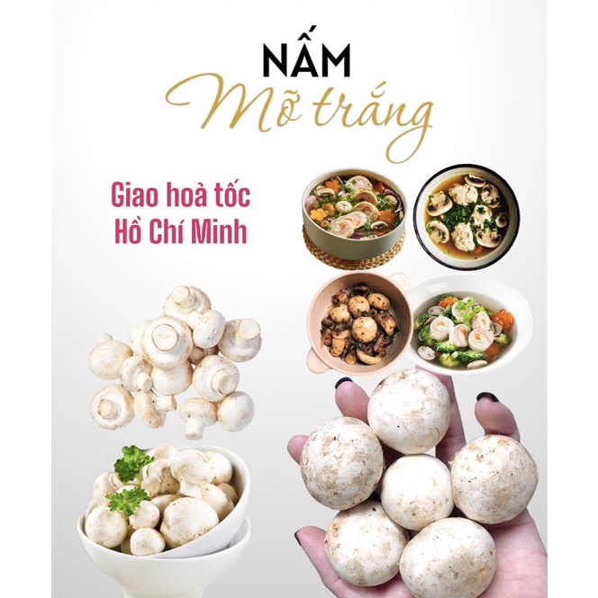 Nấm mỡ Fungo Loại 1 protein thực vật cho người ăn thuần chay, thực dưỡng