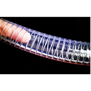 Ống nhựa mềm lõi thép phi 65 hàng nhập khẩu chuyên dẫn dầu, dẫn nước đơn giá 2m