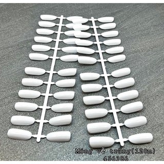 vĩ móng bầu tập vẽ , tập sơn (1 gói 120 móng)