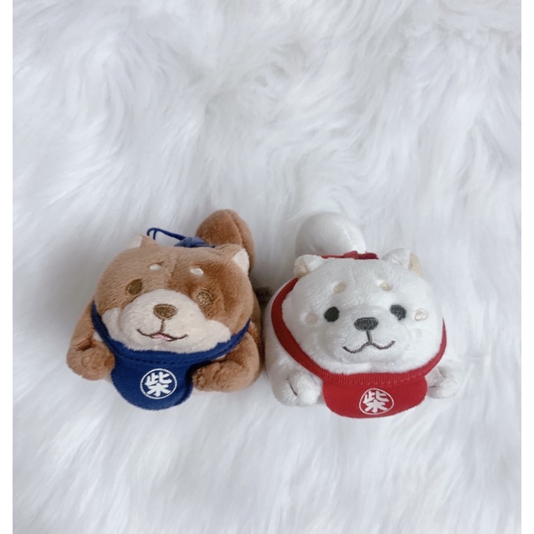 Gấu Bông Shiba Inu