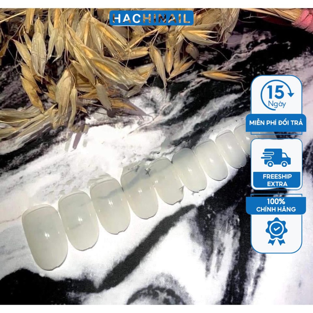 Móng up HSM form tròn ngắn hạt na đục trong 500 móng hàng chính hãng form chuẩn đẹp không cần dũa ph