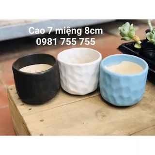 Chậu trồng sen đá,xương rồng,Chậu Cây mini gốm sứ bát tràng
