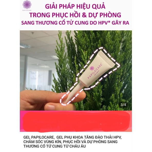 gel đặt (HPV) PAPILOCARE giúp tăng đào thải HPV ,cải thiện sự khô rát ,tái cân bằng hệ vi khuẩn