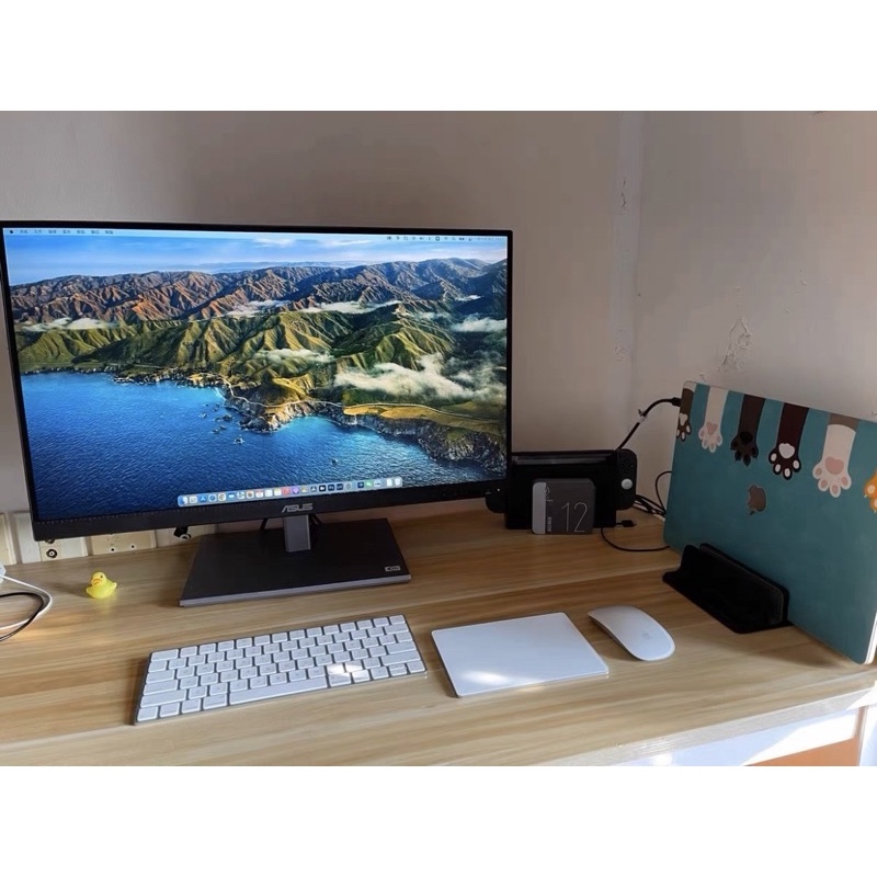 Màn hình đồ họa ASUS PA247CV TYPE -C like new