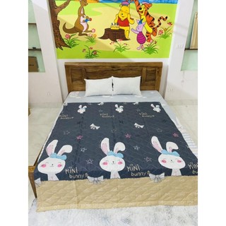 Chăn hè cotton poly mềm mịn trần bông 3 lớp
