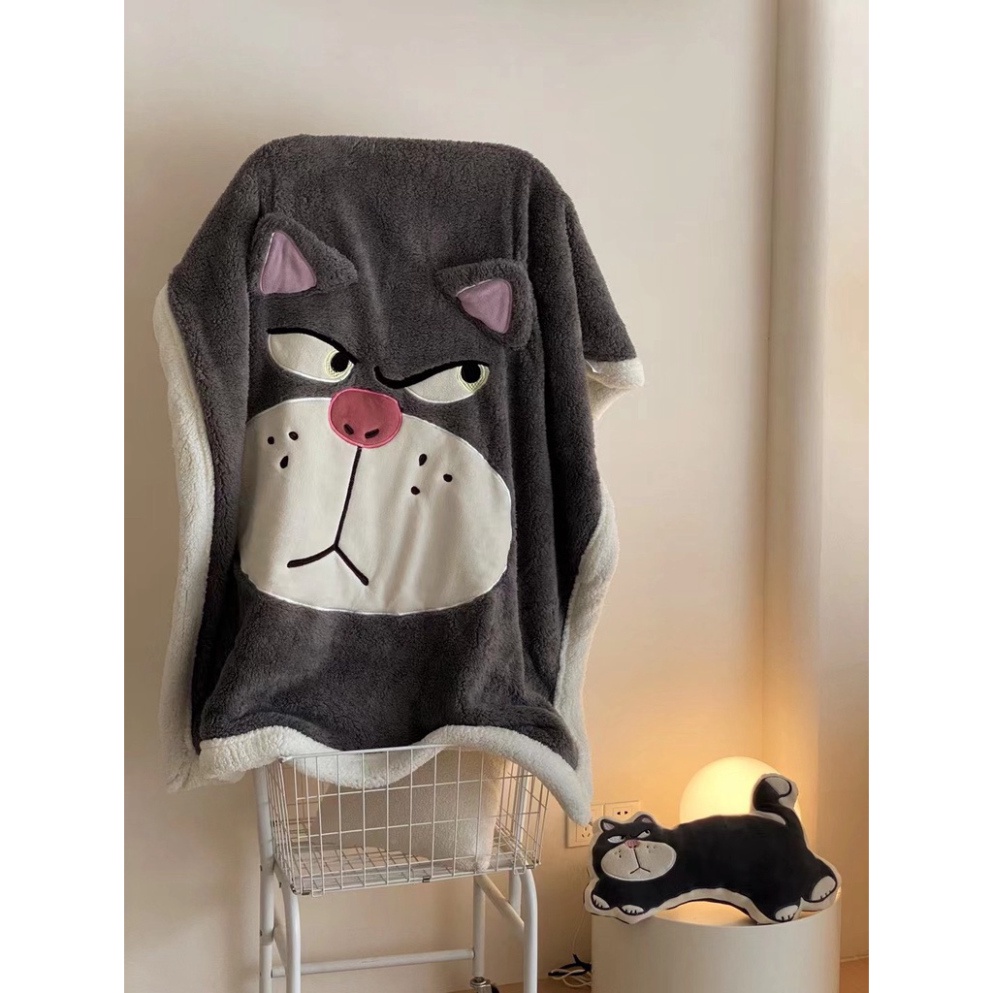 Chăn Lông Cừu Disney KT 1m5x2m Nặng 1.5 Kg Tặng Kèm Gối Bông Cùng Bộ