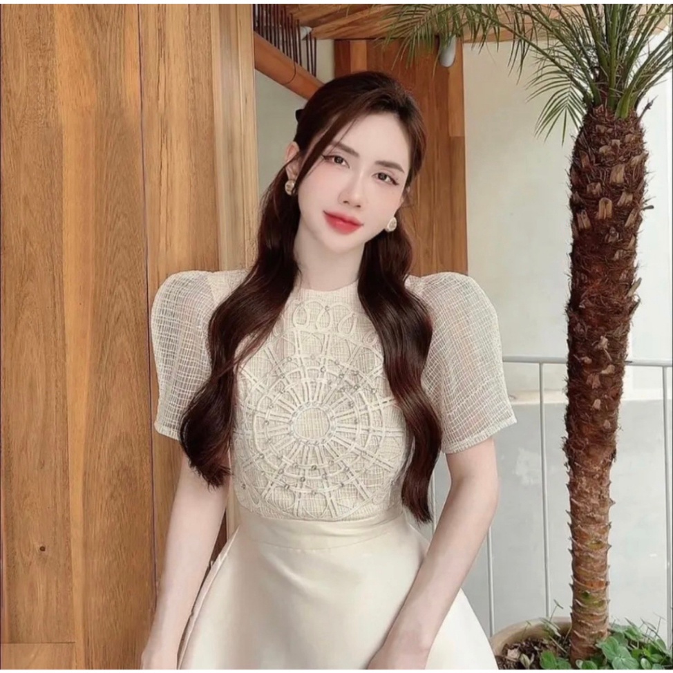 Váy Tacta kem Cúc Ngọc Đính Đá, Tay Áo Phối Tơ, Có Quần Trong SIu Sang