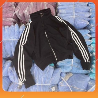 Áo khoác nữ nỉ ngoại croptop ko nón 3 sọc tay