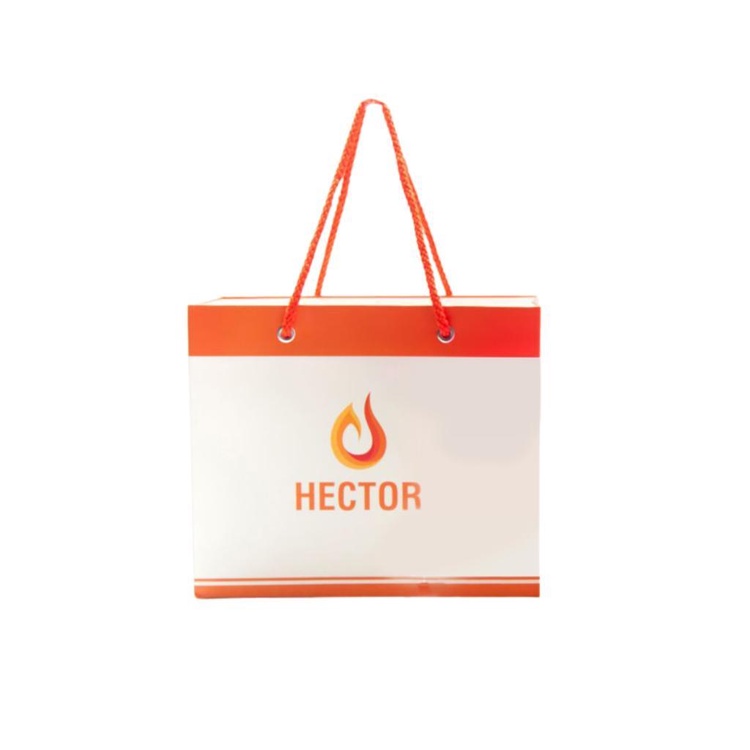 Nước hector colLagen HECTOR Sâm hộp 10 chai