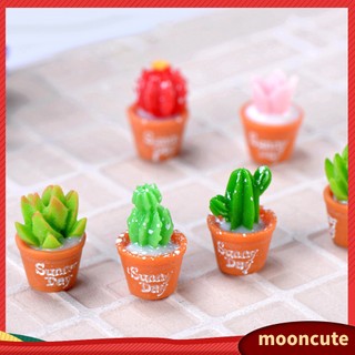 {MOONCUTE} Bộ 2 cây xương rồng mini trang trí nhà cửa