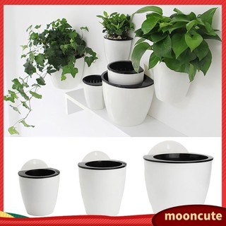 {MOONCUTE} Chậu hoa hút nước treo tường sáng tạo