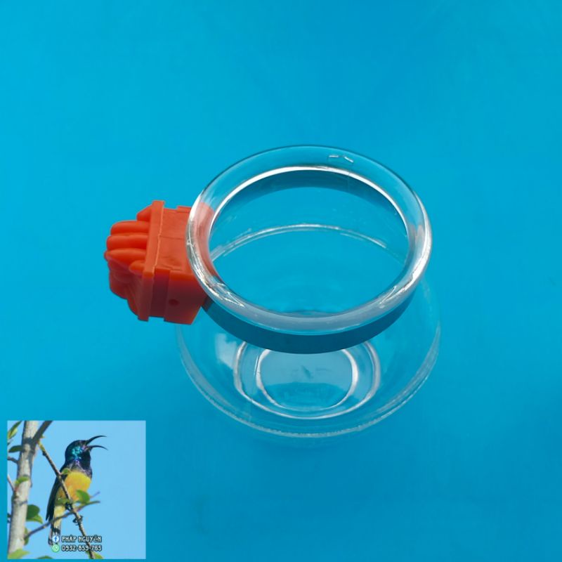 Cóng Ăn Cho Chim Cảnh