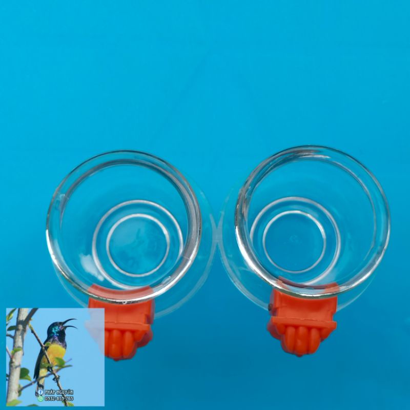 Cóng Ăn Cho Chim Cảnh