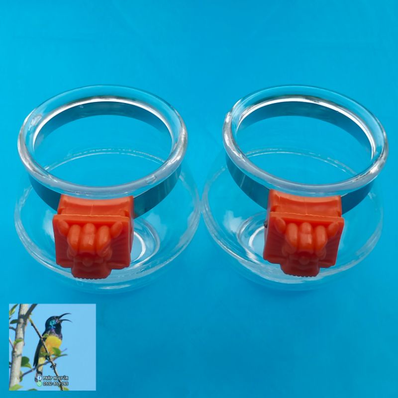 Cóng Ăn Cho Chim Cảnh