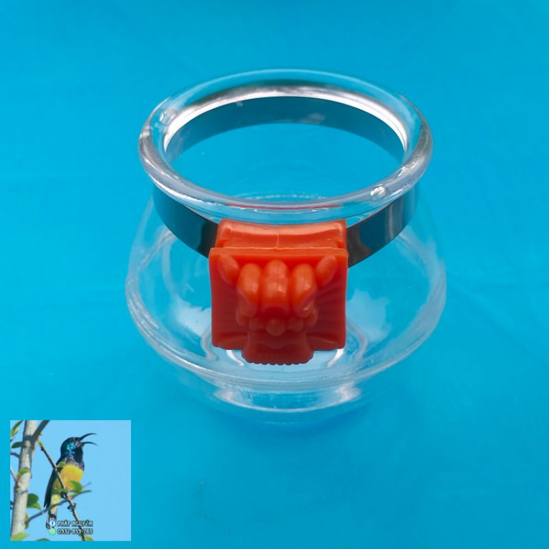 Cóng Ăn Cho Chim Cảnh