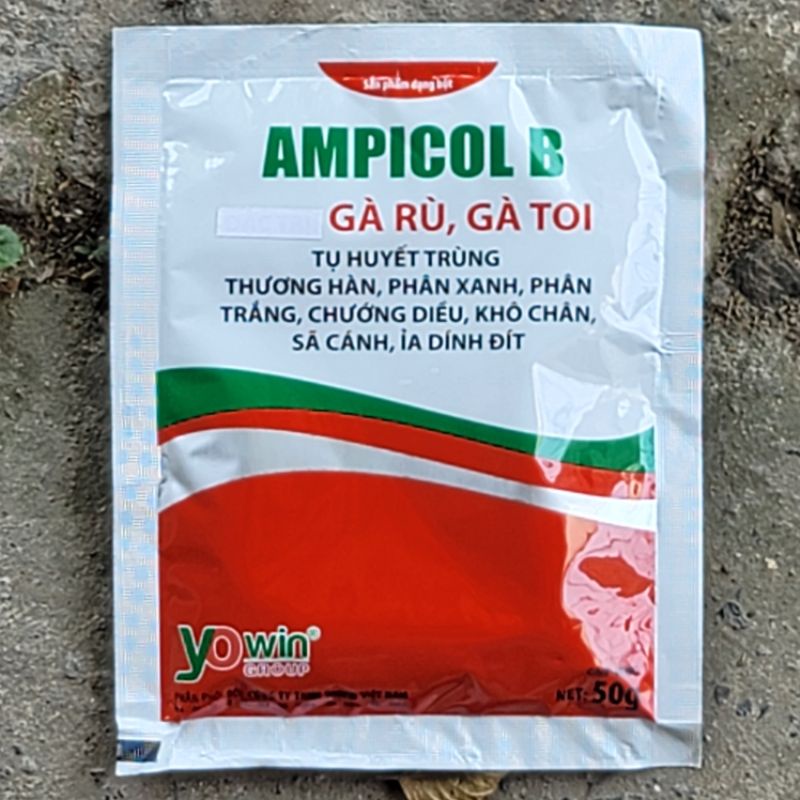 Gói Ampicol B gà rù gà toi, tụ huyết trùng, chướng diều, khô chân, phân xanh, phân trắng dùng cho thú cưng