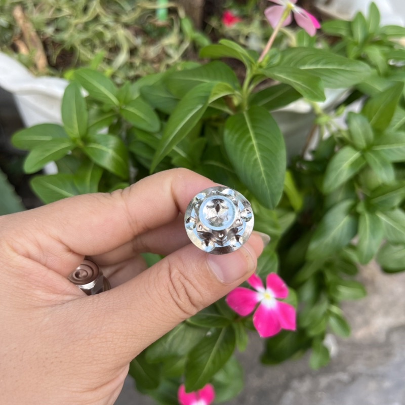 Ốc pas heo Ya - Honda inox304