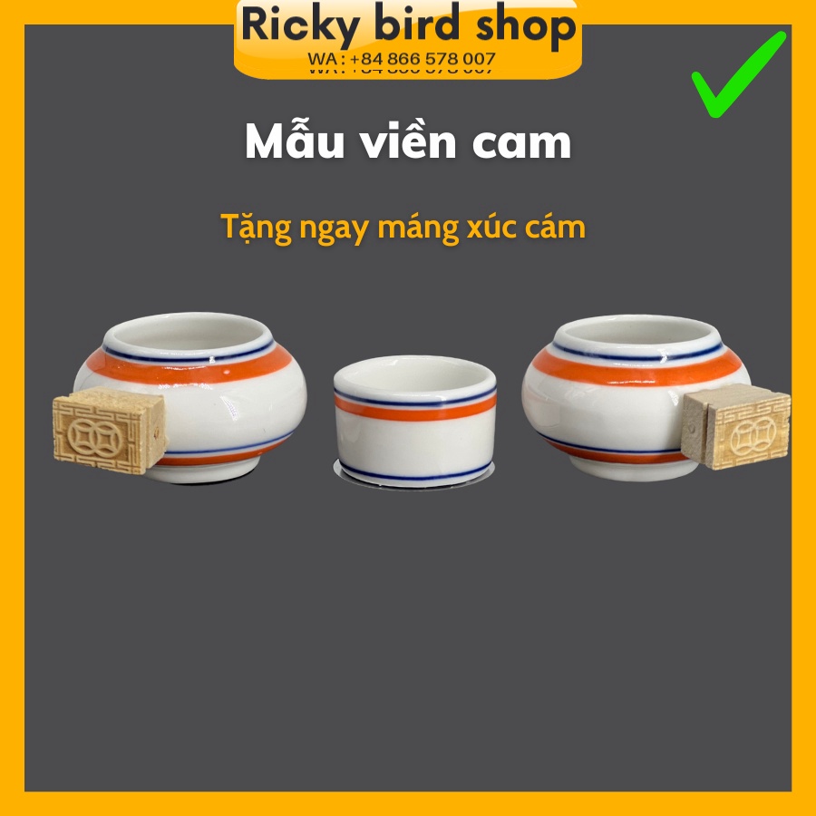 Cóng Chim Chào Mào, Cóng Chào Mào Tàu Đẹp - Tặng Máng Xúc Cám