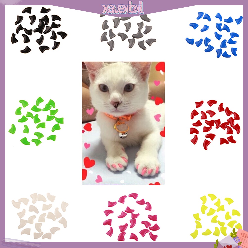 Bộ 20 móng giả cho chó mèo kèm keo dán tiện lợi