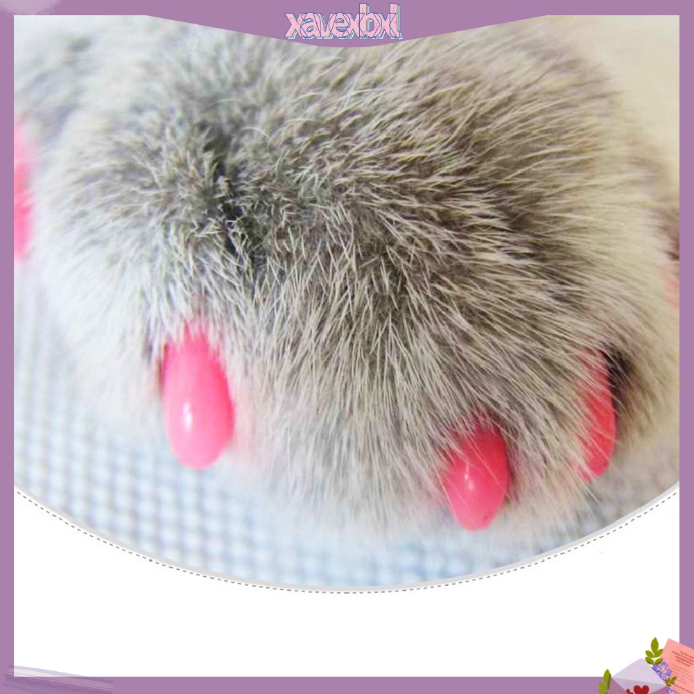 Bộ 20 móng giả cho chó mèo kèm keo dán tiện lợi