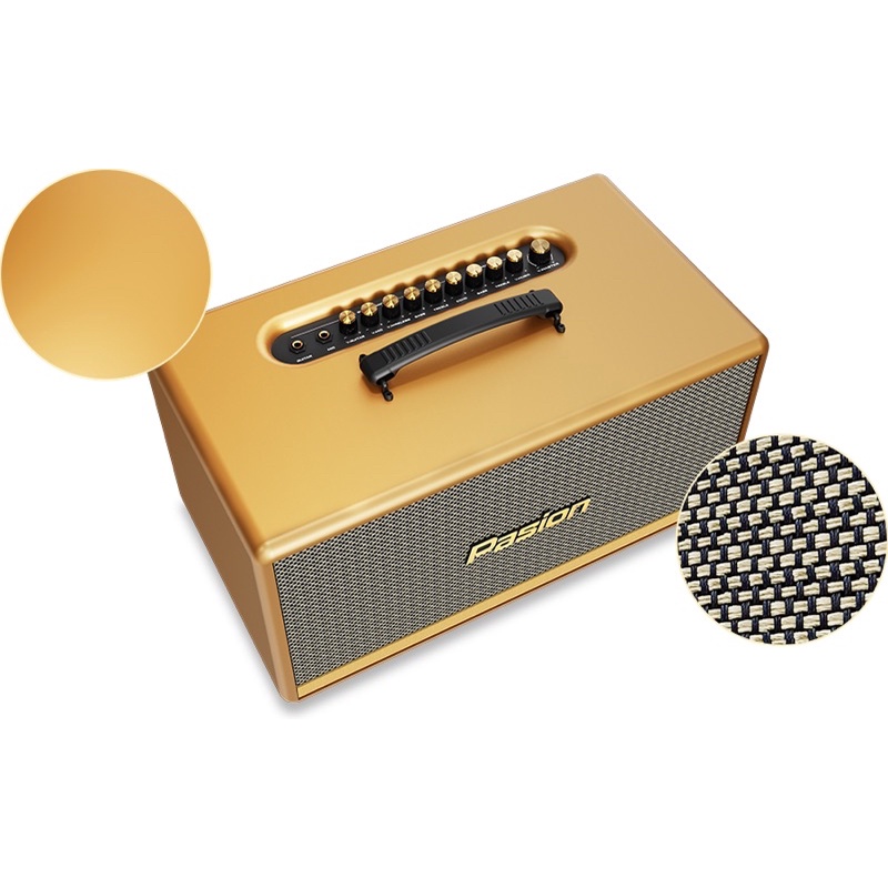 Loa xách tay Pasion 2C - Hàng Chính Hãng năm 2023 - Gia Khang shop