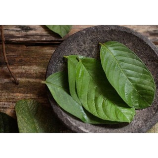 Trà Lá Ổi Khô Nguyên Chất (1kg)