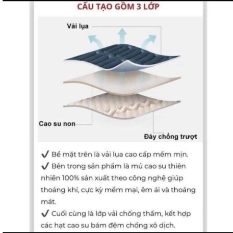 Chiếu điều hòa Hanbeading cao su non Tencel Latex hàng cao cấp, Chiếu nệm mủ cao su non size 1m6, 1m8, 2m2