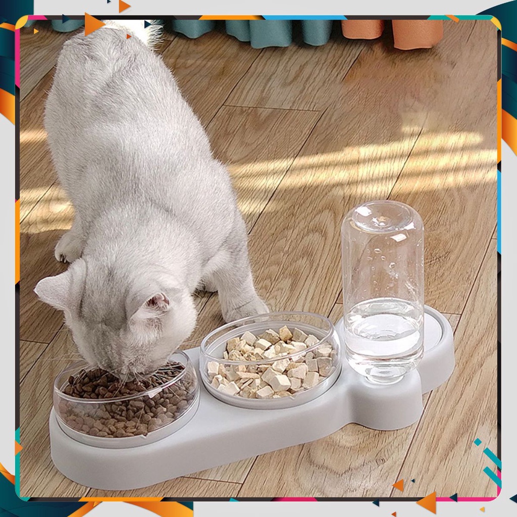 Máy cho thú cưng ăn tự động GREEN PET PPJapan - Euro Quality