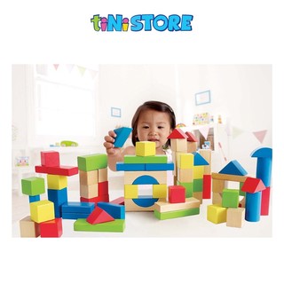 tiNiStore-Đồ chơi lắp ráp Hape (100 mảnh) E0427