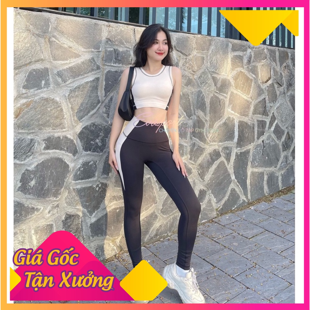 Đồ tập gym nữ, bộ tập gym yoga erobic nữ áo dài tay quần dài chất liệu co giãn 4 chiều thấm hút tốt, hack dáng siêu ngon