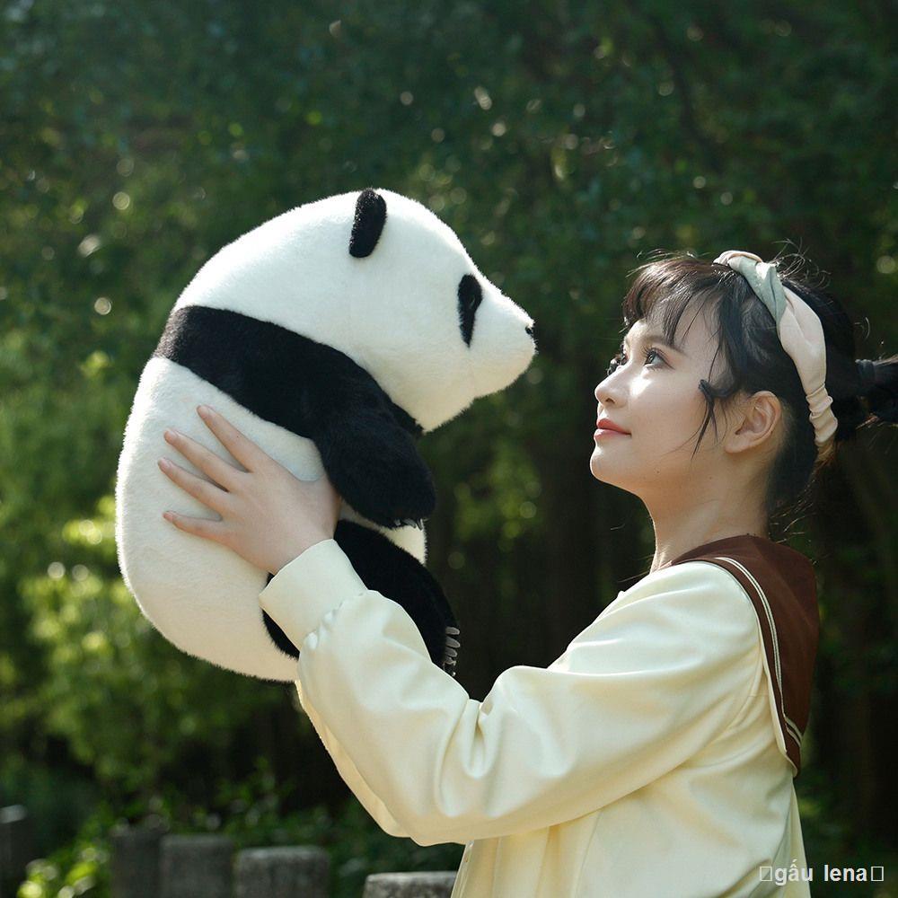 nooer lưới gấu trúc đỏ hoa quả Lai gối mô phỏng búp bê cùng kiểu giá rẻ không lông quà tặng bạn gái