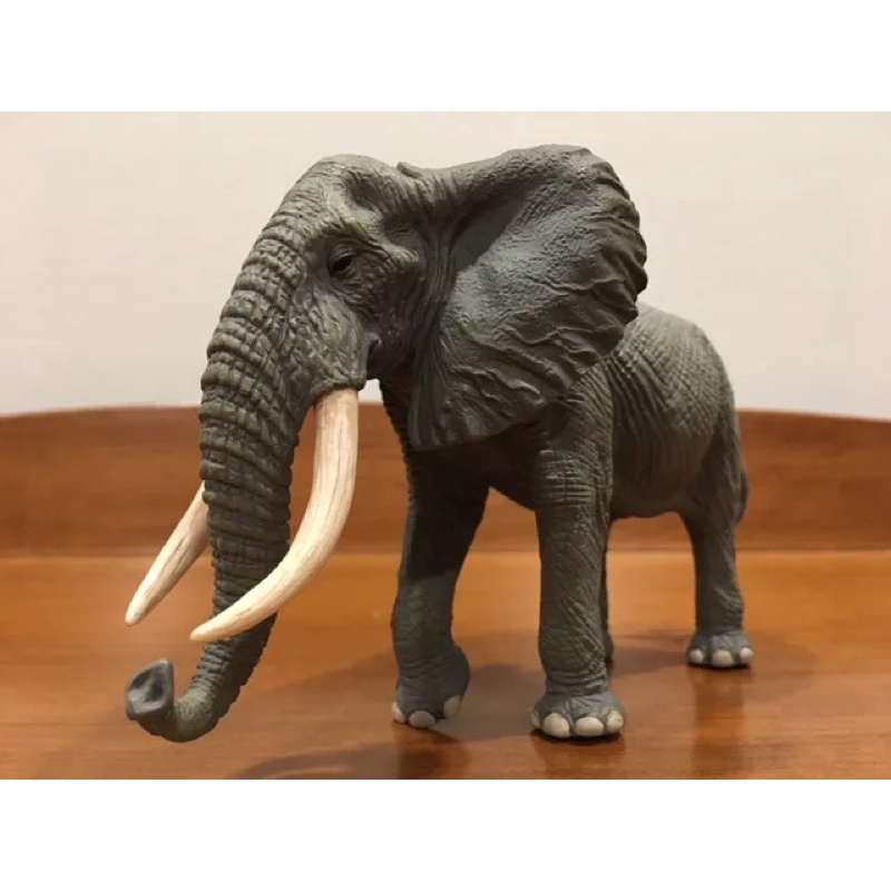 Mô hình động vật , đồ chơi con vật CollectA chính hãng Voi Châu Phi 88966 - Schleich House