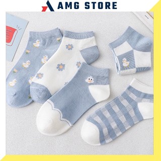 Set 5 đôi tất cổ ngắn, vớ nữ cổ ngắn nhiều mẫu siêu xinh AD35 AMG_Official_Store