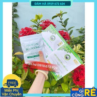 Sâm bổ kiện tỳ thảo mộc nam plus