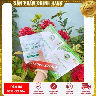 Sâm bổ kiện tỳ thảo mộc nam plus