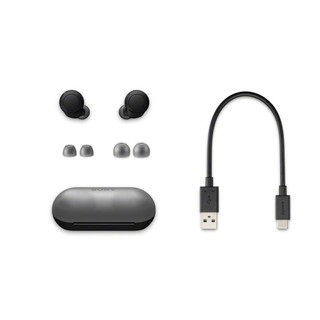 Tai nghe Bluetooth True Wireless Sony WF-C500