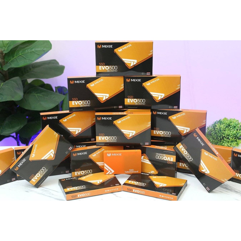 Ổ Cứng Máy Vi Tính SSD 128g Mixie Evo500 Chính Hãng Vinabox