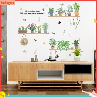 (Bologna) Miếng dán tường hình cây bonsai / bướm / hoa / bướm dễ tháo gỡ