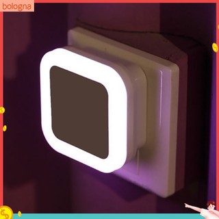 (Bologna) Đèn Ngủ Mini Gắn Tường Có Cảm Biến Tự Động