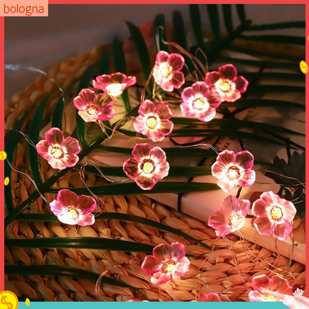 Dây Đèn LED Hình Hoa Anh Đào Trang Trí Trong Nhà Tiện Dụng